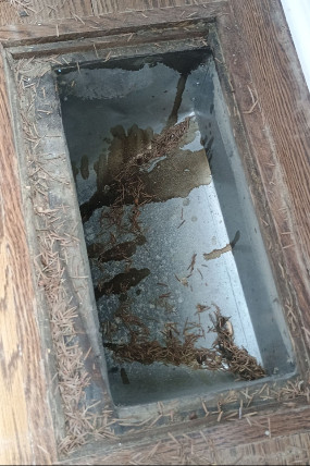 Clean Vent Happy Home Clean Vent Happy Home 2 Air Duct